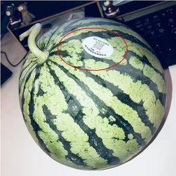 网红mack吃瓜,揭秘娱乐圈幕后真相