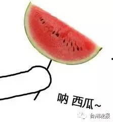 动物吃瓜带你吃瓜图片,带你领略趣味横生的“吃瓜”瞬间