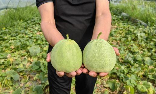 广德吃瓜抖音号,带你领略当地美食与趣事