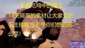 吃鸡舞呆瓜版,趣味横生的舞蹈挑战,带你领略不一样的“吃鸡”风采