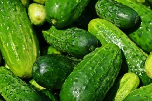 爱老师Dhp吃瓜,揭秘娱乐圈背后的那些事儿