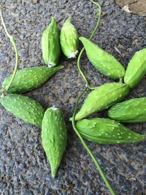 带你吃瓜野生模仿,揭秘娱乐圈那些事儿