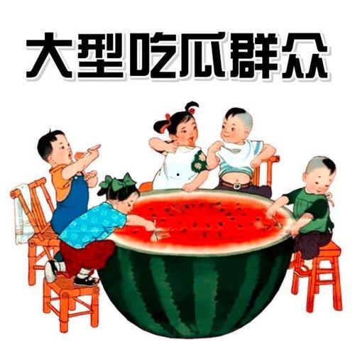 吃瓜乘风破浪